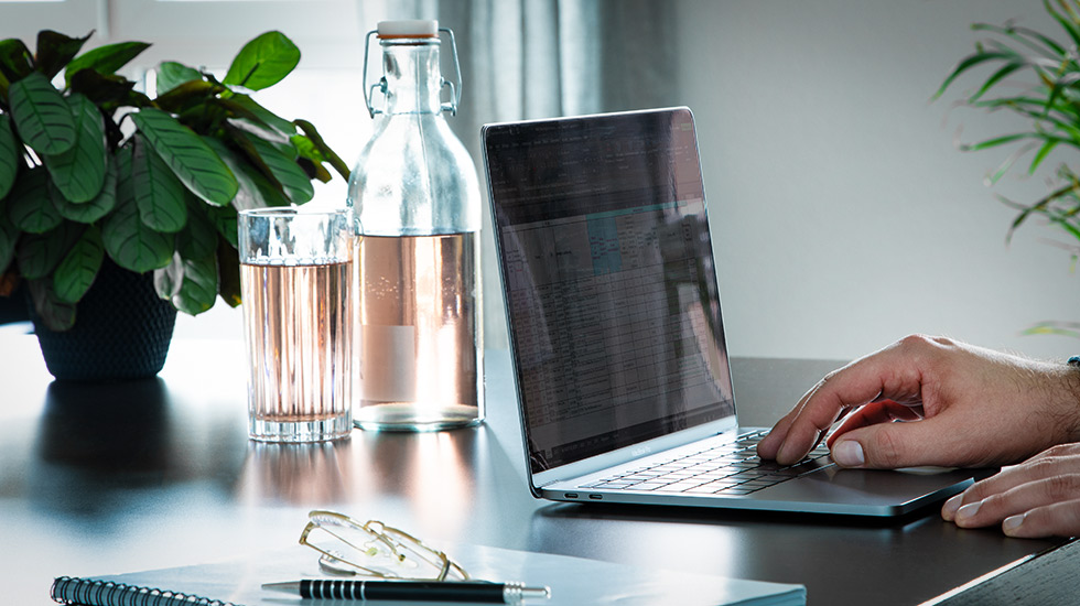 Datenübersicht Excel Arbeit am Laptop
