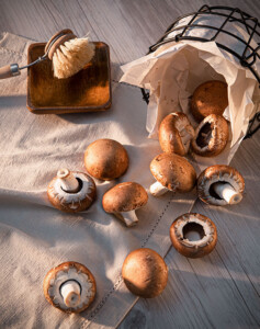 Champignons bei tiefstehender Herbstsonne bereit zum Putzen